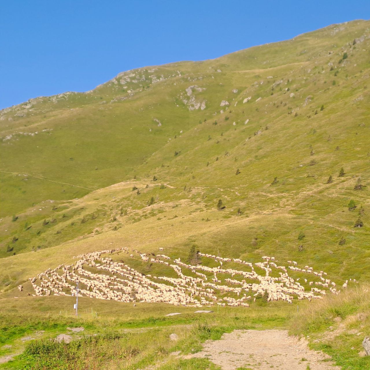 XIX DOMENICA DEL TEMPO ORDINARIO | 10 Agosto 2025 | n. 30 | ANNO C |